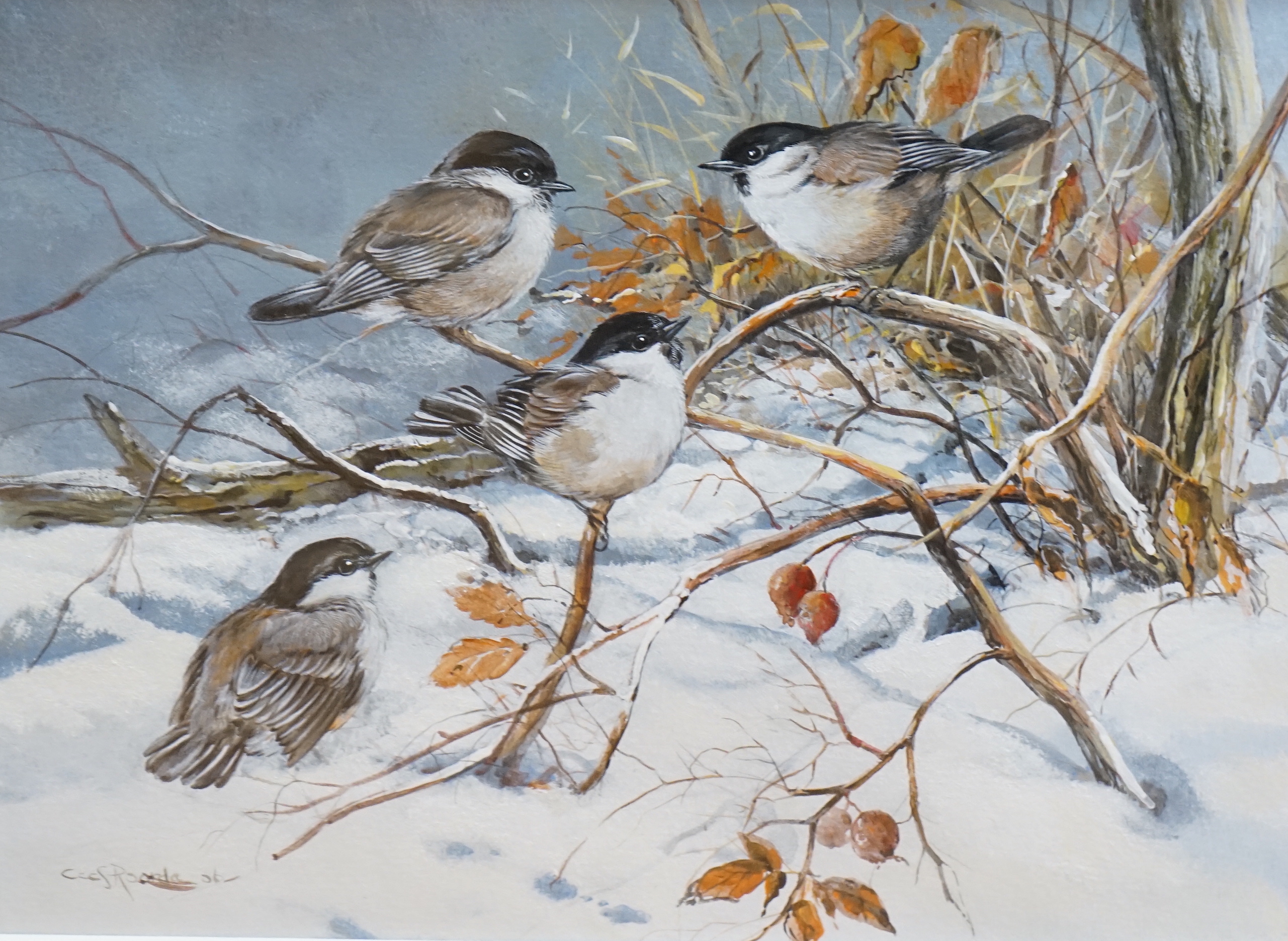 Cees Roorda (Dutch, 1942-), watercolour, ‘’Blue tits in a snowy landscape’’, signed, 22 x 30cm